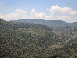 El polígono protegido ya no es el de 30 mil 500 hectáreas. EL INFORMADOR/ ARCHIVO