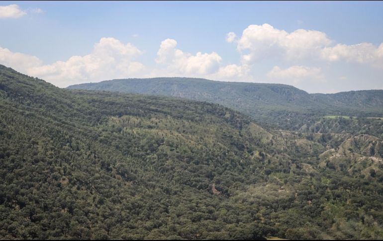 El polígono protegido ya no es el de 30 mil 500 hectáreas. EL INFORMADOR/ ARCHIVO