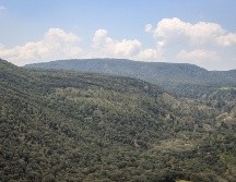 El polígono protegido ya no es el de 30 mil 500 hectáreas. EL INFORMADOR/ ARCHIVO