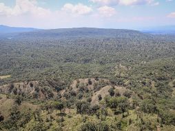Especialistas y académicos alertan por el intento de propietarios de reducir las hectáreas del Área Natural Protegida. EL INFORMADOR/ ARCHIVO