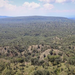 Piden expropiar el Bosque La Primavera