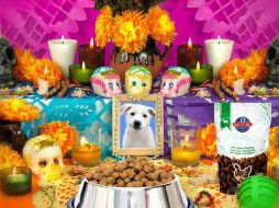 También nuestras mascotas merecen ser recordadas. ESPECIAL / PIXABAY