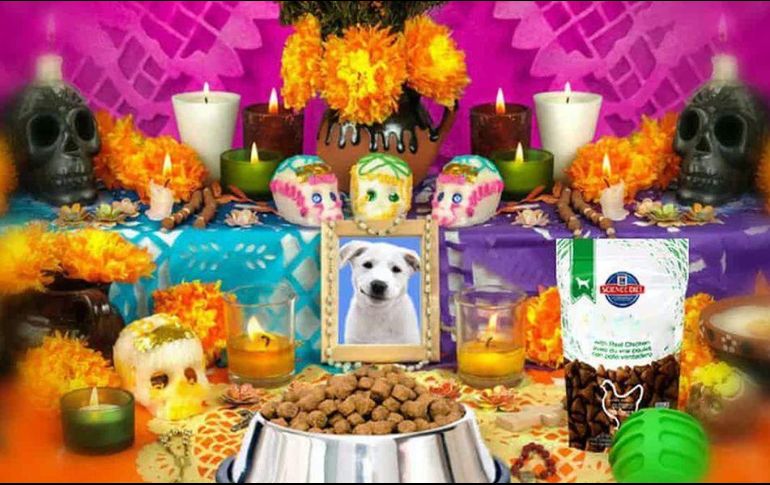 También nuestras mascotas merecen ser recordadas. ESPECIAL / PIXABAY