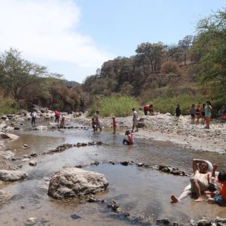 Día del Bosque La Primavera, para que "conozcan su valor"