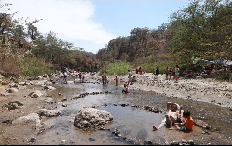 La primavera es un pulmón insustituible para los tapatíos. EL INFORMADOR/ ARCHIVO