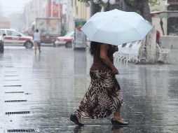 Durante esta tarde y noche, el frente frío Núm. 8 y la masa de aire ártico que lo acompaña ingresarán y avanzarán rápidamente sobre varios estados. SUN / ARCHIVO