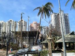 La Secretaría de Relaciones Exteriores dio a conocer que ya son 236 extranjeros trasladados. SUN/ I. Montaño.