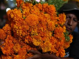 Los mexicanos preparan su tradicional altar para el Día de Muertos mientras afrontan una tasa de inflación menor a la de años anteriores. EFE.