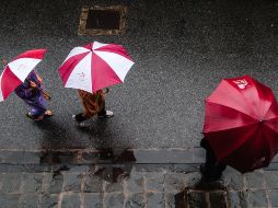 Se esperan lluvias en la costa sur del Pacífico, en Chiapas y Oaxaca por la tormenta tropical Pilar. Unsplash.