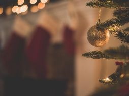 Hay muchas opciones para comprar un árbol de Navidad tanto natural como artificial. Unsplash.