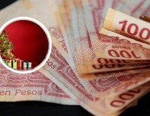 Muchas personas aprovechan el Buen Fin para comprar los regalos de Navidad, pues encuentran un sin fin de grandes promociones y descuentos. EL INFORMADOR / ARCHIVO