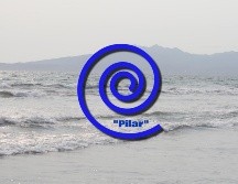 Por la tormenta tropical 