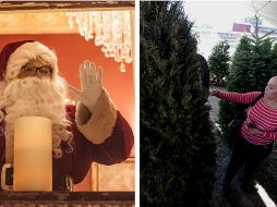 Muchos fijan el tiempo para colocar el árbol de Navidad en función de si es natural o artificial. EL INFORMADOR / ARCHIVO