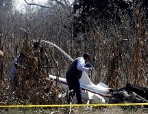 Protección Civil de Morelos reportó el desplome de una avioneta en Tetlama. (Imagen de referencia) EL INFORMADOR/ ARCHIVO.