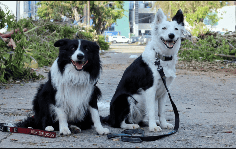 En febrero de este año, 