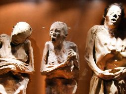Fue a principios de este año cuando se viralizaron dichas imágenes de las momias en las redes sociales. ESPECIAL