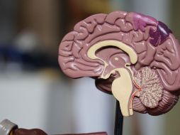 Existe una investigación que da cuenta de la relación entre el tipo de sangre de las personas y el Alzheimer. Unsplash.