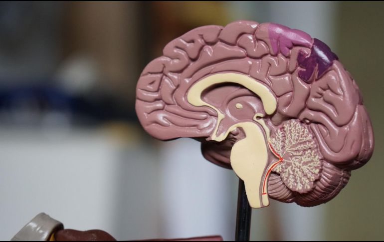 Existe una investigación que da cuenta de la relación entre el tipo de sangre de las personas y el Alzheimer. Unsplash.