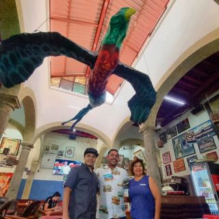 “Misteriosa” ave vuela sobre Los Famosos Equipales