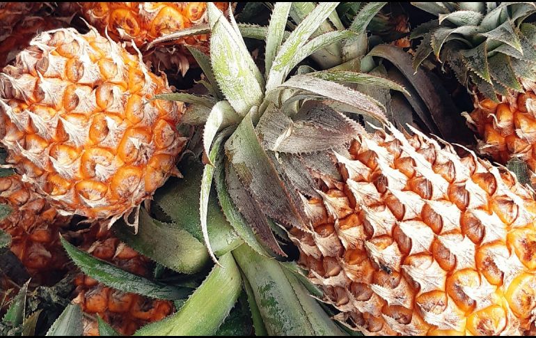 La manera de beneficiarse de las propiedades de la piña es a través de jugos. O. RAMJEAN / UNSPLASH