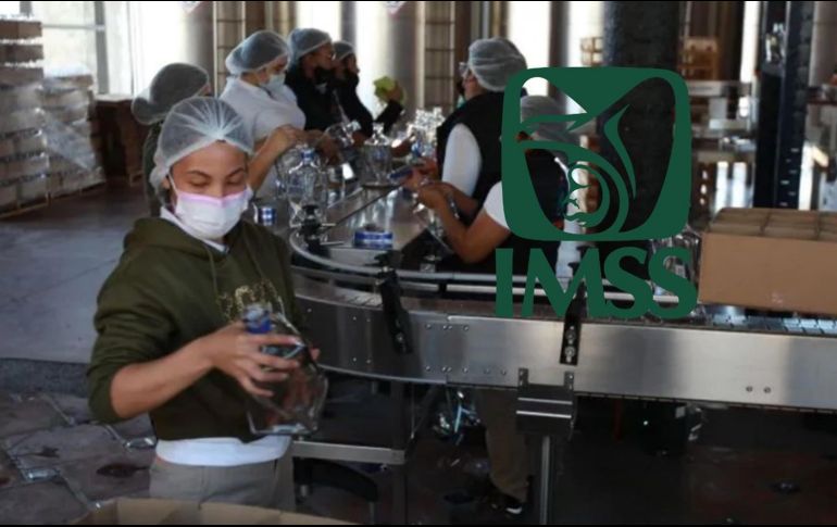 En octubre, Jalisco registró por primera vez en su historia 2 millones 13 mil 431 trabajadores asegurados ante el Instituto Mexicano del Seguro Social (IMSS). EL INFORMADOR / ARCHIVO