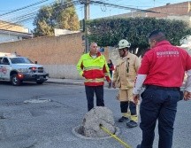 Autoridades han revelado qué químico es el que produce el olor a ajo en colonias de Guadalajara. Descartan que sea dañino a la población. EL INFORMADOR/ J. Velazco.