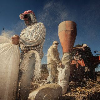Presupuesto 2024 no contempla fondo para el sector agropecuario