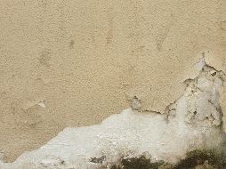 La humedad puede manifestarse a través de los olores o incluso con la presencia del moho./ Unsplash