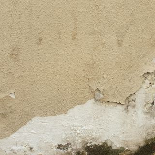 Así puedes eliminar el olor a humedad en tu casa en solo tres pasos