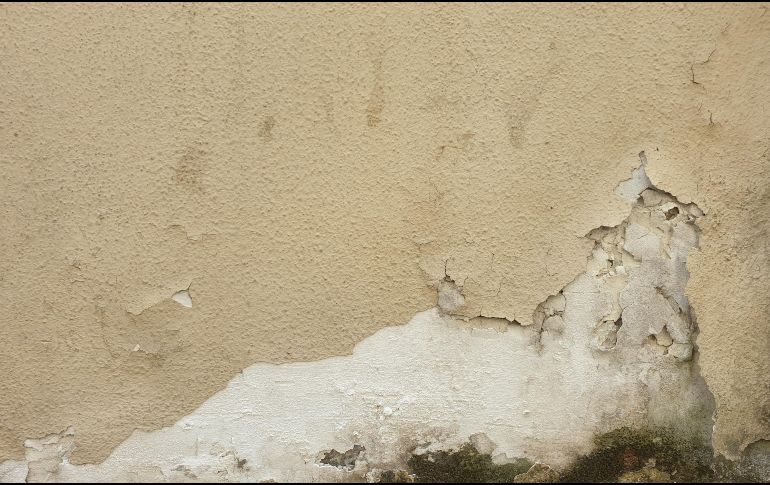 La humedad puede manifestarse a través de los olores o incluso con la presencia del moho./ Unsplash