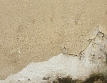 La humedad puede manifestarse a través de los olores o incluso con la presencia del moho./ Unsplash