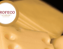 De las 22 marcas, solo 11 de ellas cumplieron con los estándares para ser consideradas auténticas “quesos”.ESPECIAL/Freepik