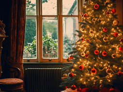 Compartimos la receta para preparar tu 