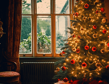 Compartimos la receta para preparar tu 