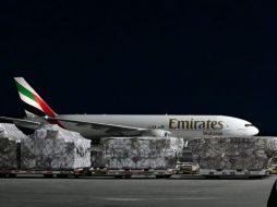 La Secretaría de Salud invita a inmunizarse a las personas con más riesgo de presentar cuadros graves de la enfermedad, que incluye a mayores de 60 años, embarazadas, personas con comorbilidades, así como personal de atención médica. ESPECIAL / Gobierno de México