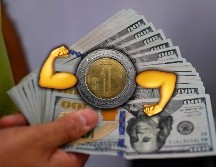Es importante recordar que la cotización del dólar se actualiza a lo largo del día, por lo que es necesario revisarla constantemente si se requiere para alguna ejecución financiera. AFP / ARCHIVO