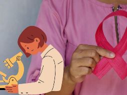 Aunque el proyecto todavía es un prototipo, los resultados son prometedores. UNSPLASH / A. HARRY