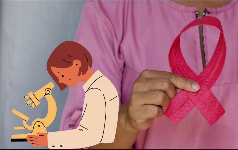 Aunque el proyecto todavía es un prototipo, los resultados son prometedores. UNSPLASH / A. HARRY