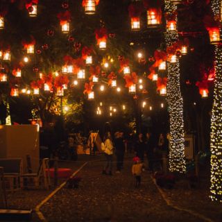 Navidalia regresa este 2023 al parque Ávila Camacho