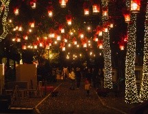 Navidalia se ha convertido en una de las atracciones favoritas de los tapatíos. EL INFORMADOR/ ARCHIVO