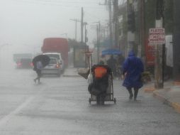 El SAT brindará facilidades fiscales a donatarias que apoyen a los afectados por el huracán Otis en Acapulco. EFE/ARCHIVO.