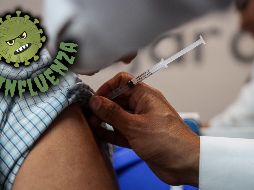 ¿Cuándo es el mejor momento para aplicarse la vacuna contra la influenza (gripe)? Aquí te decimos. EL INFORMADOR / ARCHIVO
