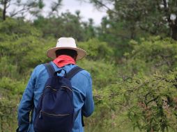 Este megapute, date una escapada y disfruta de los lugares naturales cerca de Guadalajara. EL INFORMADOR/ ARCHIVO,