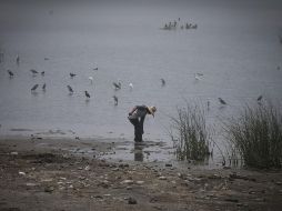 Invitan al Foro Integral de Salud del Lago de Chapala, que se realizará el 17 de noviembre. EL INFORMADOR/ARCHIVO