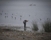 Invitan al Foro Integral de Salud del Lago de Chapala, que se realizará el 17 de noviembre. EL INFORMADOR/ARCHIVO