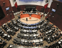 De acuerdo con la diputada, Susana Prieto, hay altas probabilidades de que se apruebe. Unsplash.