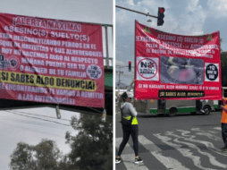 En la alcaldía de Xochimilco se ha detectado perros ejecutados. Especial.