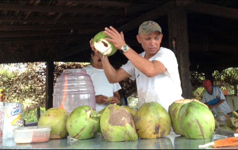 El agua de coco es una de las bebidas con más beneficios a la salud. NOTIMEX/ARCHIVO.