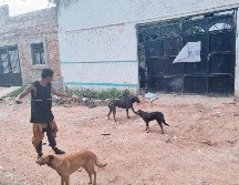 En Jalisco, se tiene conocimiento de la operación de 608 centros de rehabilitación, también conocidos como anexos o albergues de tipo residencial. EL INFORMADOR