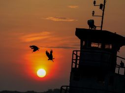 Hasta principios de octubre de este año, recordó la ONU, se registraron 86 días con temperaturas superiores a 1.5 grados por encima de los niveles preindustriales. AFP / ARCHIVO